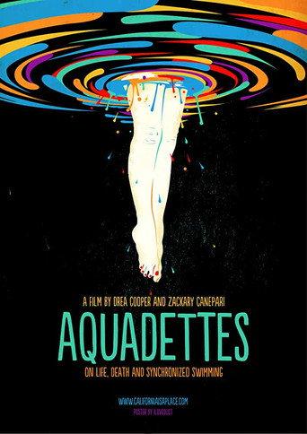 Aquadettes (2011) poster