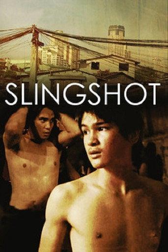 Slingshot (2008) poster