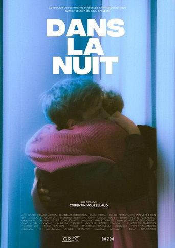 Into the Night (2025) poster