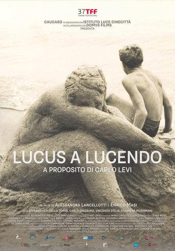 Lucus a Lucendo - A proposito di Carlo Levi (2019) poster