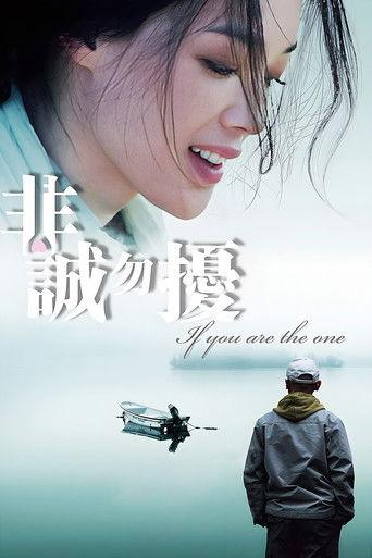 If You Are the One (2008) poster