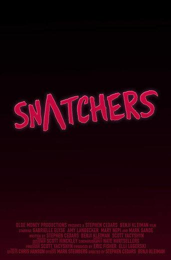 Snatchers (2016) poster