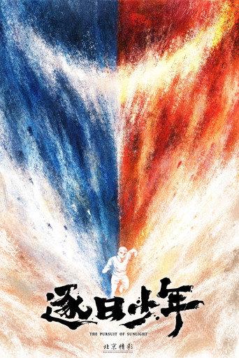 The Pursuit of Sunlight () poster