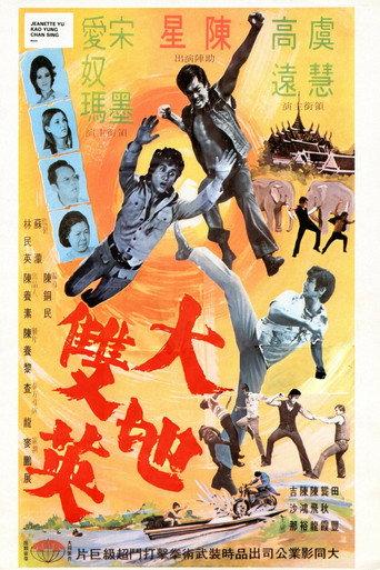 The Kung Fu Brothers (1973) poster