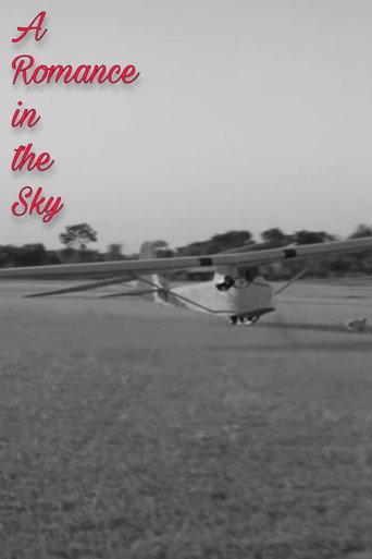 A Romance in the Sky () poster