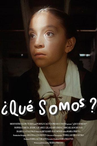 ¿Qué Somos? () poster