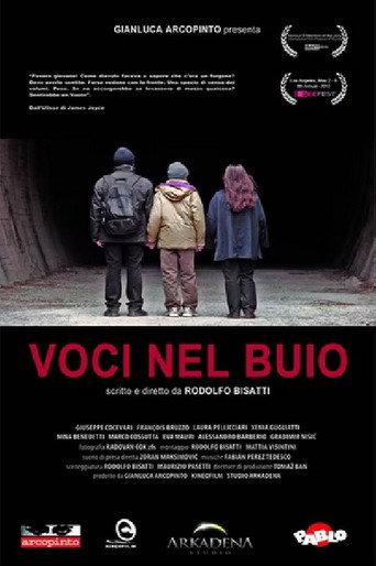 Voices in the Dark (2013) poster