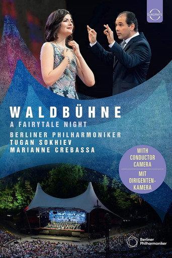 Waldbühne 2019: A Fairytale Night (2019) poster