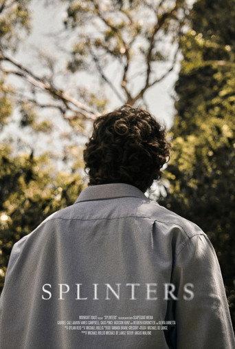 Splinters () poster