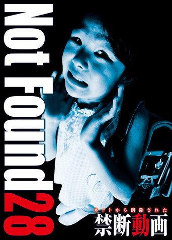 Not Found 28 (2016) poster