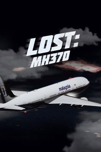 Lost: MH 370 (2014) poster