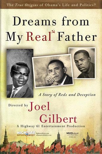 Dreams from My Real Father (2012) poster