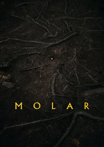 Molar () poster