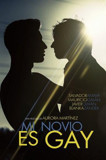 My Boyfriend Is Gay (2015) poster
