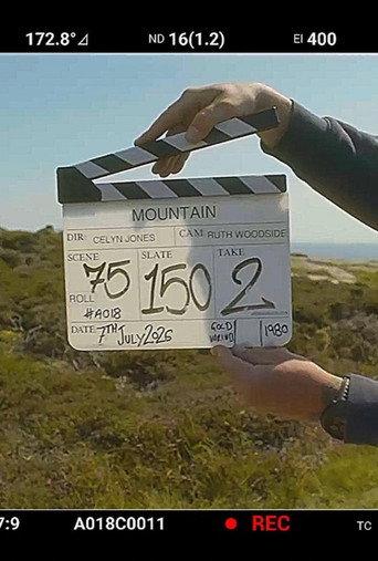 Mountain () poster