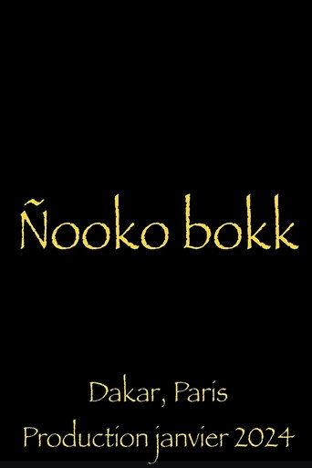 Nooko Bokk (2024) poster