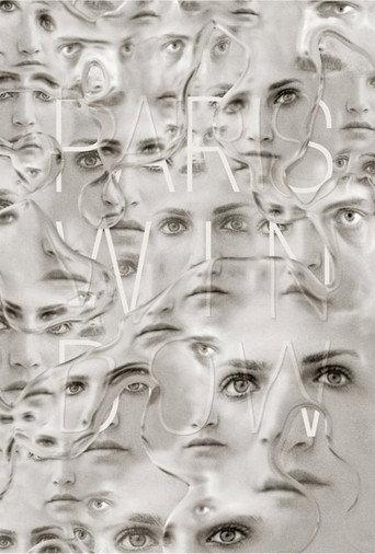 Paris Window (2018) poster