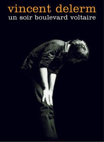 Vincent Delerm - Un soir boulevard Voltaire (2003) poster