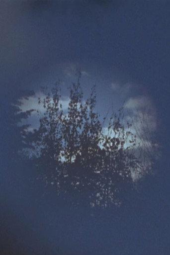 Within (2012) poster
