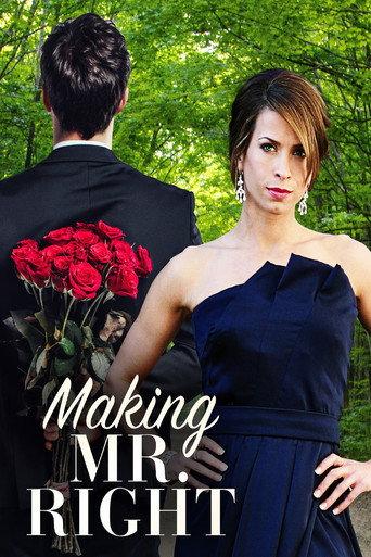 Making Mr. Right (2008) poster
