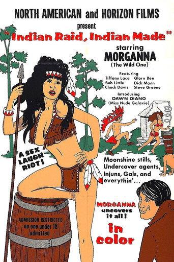 Indian Raid, Indian Made (1969) poster