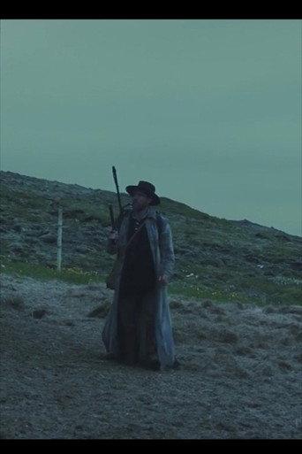 Lightcatcher (2017) poster