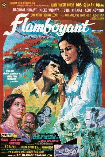 Flamboyant (1972) poster