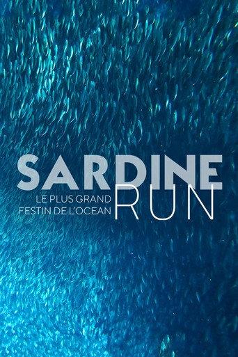 Sardine Run, le plus grand festin de l'océan (2022) poster