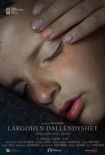 Largohen Dallëndyshet () poster