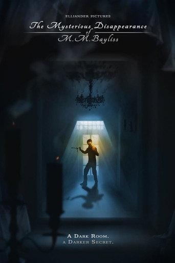The Mysterious Disappearance of M.M. Bayliss (2013) poster