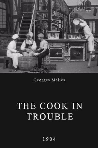 The Cook in Trouble (1904) poster