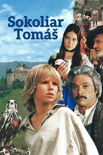 Tomáš and the Falcon King (2000) poster
