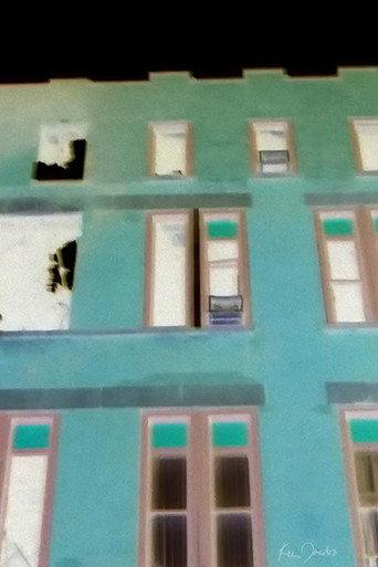 Brick Building with Red and Green Windows (2020) poster