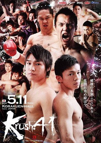 Krush 41 (2014) poster