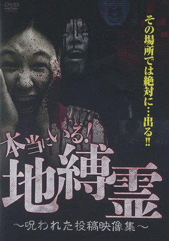They Really Exist! Earthbound Spirits - Cursed Submitted Video Collection (2015) poster