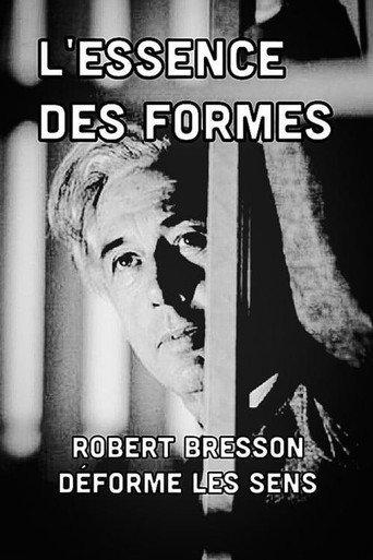 The Essence of Forms (2010) poster