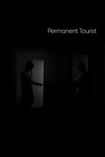 Permanent Tourist (2025) poster
