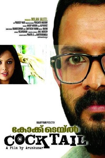 Cocktail (2010) poster