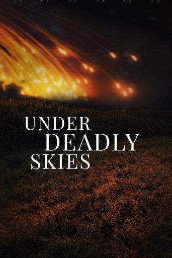 Under Deadly Skies: Ukraine's Eastern Front (2023) poster