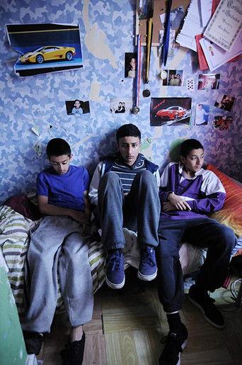 Three Brothers (2014) poster