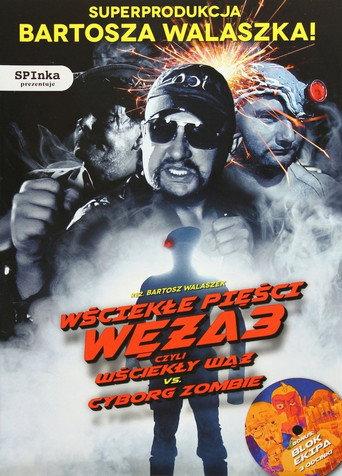 Fists of Angry Snake 3 (2013) poster