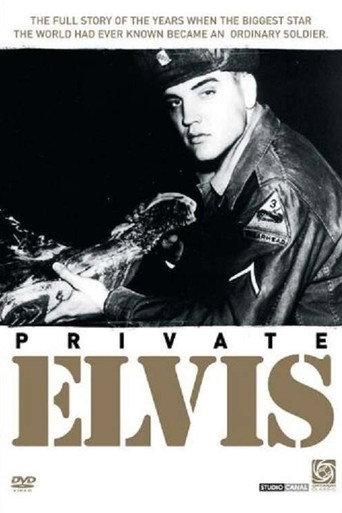 Private Elvis (1993) poster