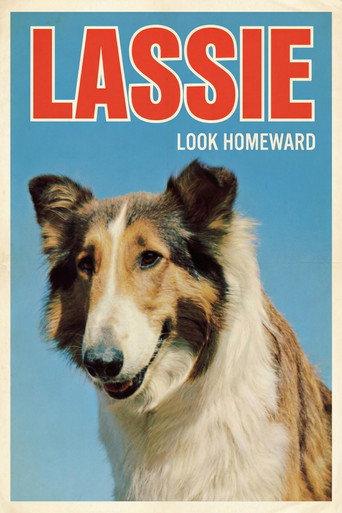Look Homeward (1965) poster