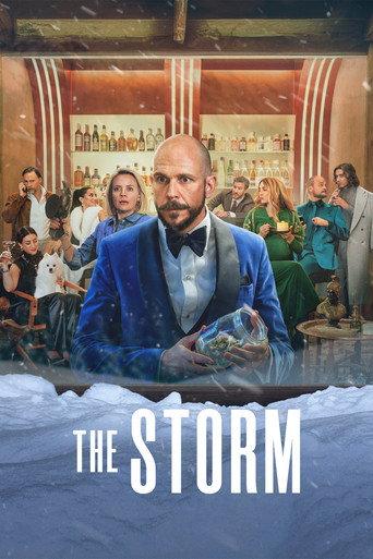 The Storm (2026) poster