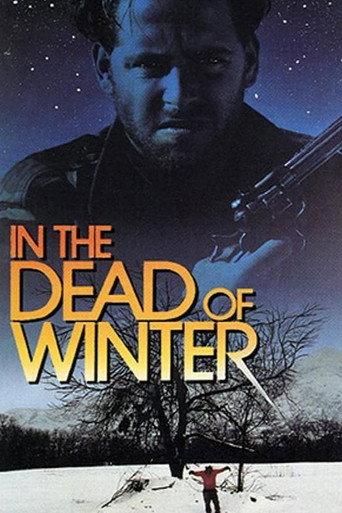 In The Dead Of Winter (1993) poster