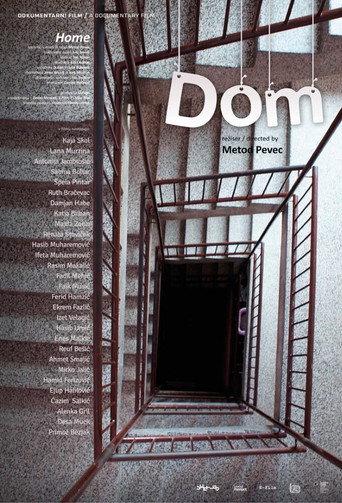 Home (2015) poster
