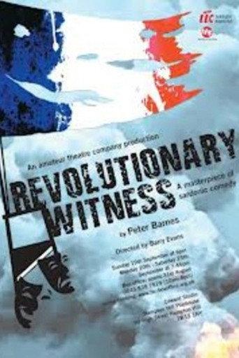 Revolutionary Witness (1989) poster