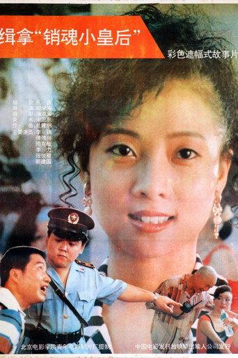 缉拿“销魂小皇后” (1992) poster