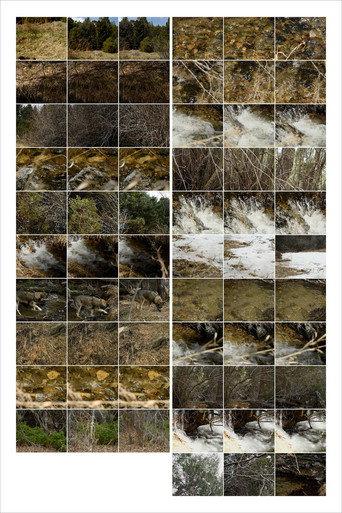 Interactions 3: Forest and Stream (2023) poster