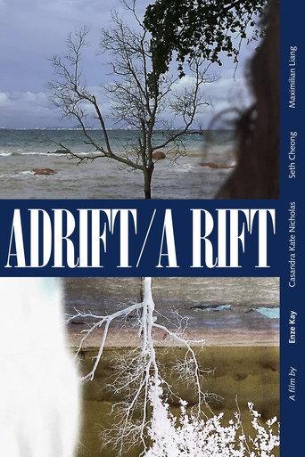 Adrift/A Rift (2026) poster